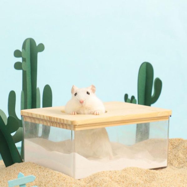 Rodents |   Hamster Transparent Acrylic Sand Bathroom Litter Sand Box Bath Container Supplies For Squirrels Guinea Pigs Pet Supplies Rodents