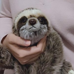 Stuffed Toys |   Cute Sloth Bradypod Plush Doll Wild Animal Stuffed Toy 28cm  Kid Gift Stuffed Toys Stuffed Toys