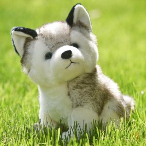 Stuffed Toys |   Realistic Husky Dog Plush Toy Filled Animal Soft Wolf Pet Doll Cute Kids Gift 7 Stuffed Toys Stuffed Toys