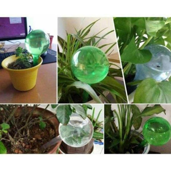 Watering & Irrigation |   6Xself Watering Plant Bulb Indoor Outdoor Pvc Water Globes Feeder Automatic Tool Outdoors & Garden Watering & Irrigation