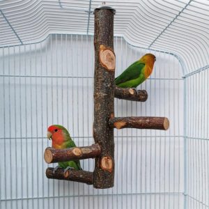 Birds |   Pet Parrot Stand Solid Wood Standing Stick Pole Biting Molar Claw Grinding Toy Bird Cage Supplies Birds Birds