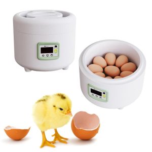 Animals & Insects |   9 Eggs Incubator Poultry  Automatic Temperature Control Incubator Tool Small Plastic Bionic Water Bed Farm Bird Egg Incubator Animals & Insects Animals & Insects