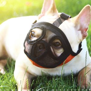 Dogs |   Bulldog Pet Dog Muzzles Adjustable Breathable Dog Mouth Cover Anti Bark Bite Mesh Dogs Mouth Muzzle Mask For French Bulldog Pug Dogs Dogs