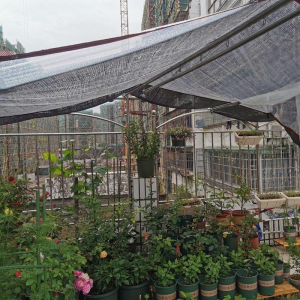 Garden Structures |   0.1Mm Pe Film Gazebo Transparent Rainproof Cloth Garden Balcony Greenhouse Succulent Plant Keep Warm Cover Lumber Tarp Tarpaulin Garden Structures Garden Structures