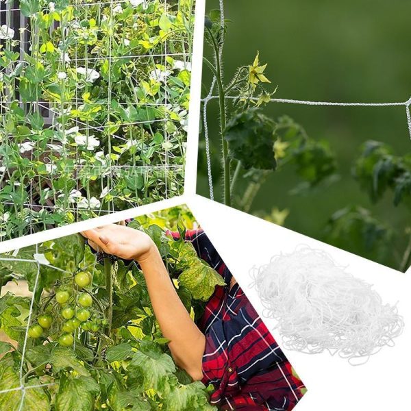 Garden Structures |   Garden Plant Trellis Climbing Net Rope Crawling Net Polyester Plant Support Vine Climbing Hydroponics Garden Net Garden Structures Garden Structures