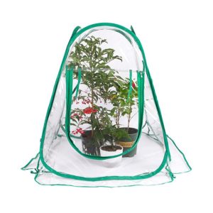 Garden Structures |   Greenhouse Mini Plant Cover Pop Up Pvc Greenhouses Backyard Protecting For Flower Grow Gardening Garden Structures Garden Structures